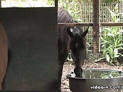 Jesse Santana & Lawson Kane in Cowboys 2, Scene #03