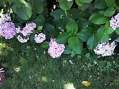 ATKGirlfriends video: A Day in the Life of: Anna Foxxx