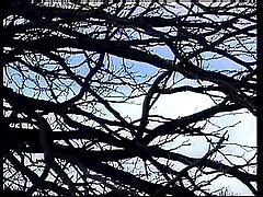 Once Upon A Time 8 - The Skating Magician (1994)