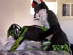 Fox fursuiter fucks biker